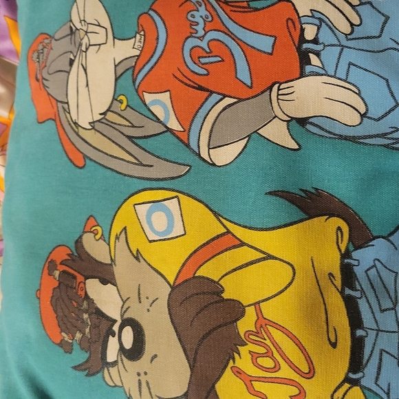 Loony tunes pillow - Picture 4 of 4